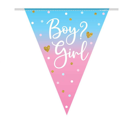 Boy Or Girl Foil Bunting