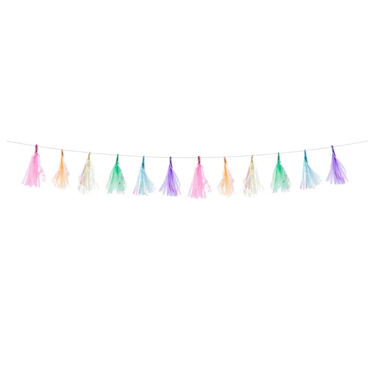 Pastel Tassel Garland