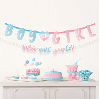 Jumbo Gender Reveal Banner Kit