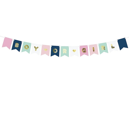 Boy Or Girl Banner