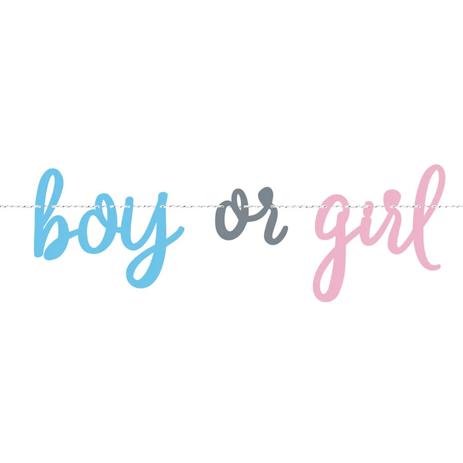 Boy Or Girl Card Banner