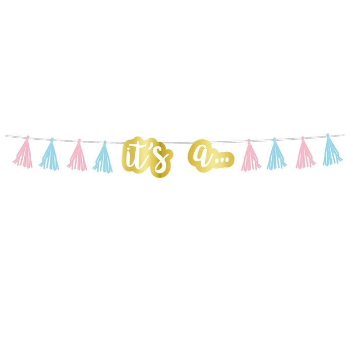 Gender Reveal Tassel Garland